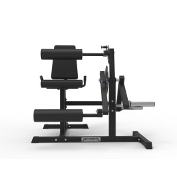 Macchina Leg Curl & Estensione Assis