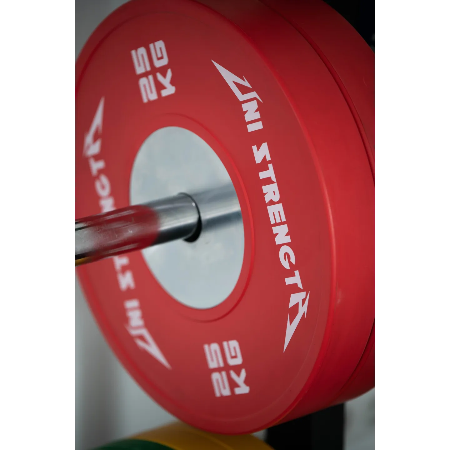 Set de Bumper de competición de 140 kg - vista 18
