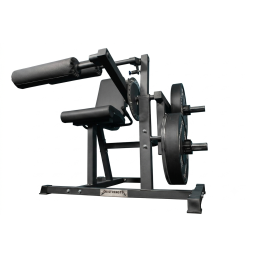 Machine Leg Curl & Extension Assist