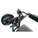 Machine Leg Curl & Extension Assis - vue 10