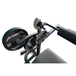 Macchina Leg Curl & Estensione Assis