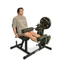 Machine Leg Curl & Extension Assis - vue 2