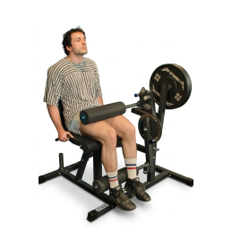Macchina Leg Curl & Estensione Assis