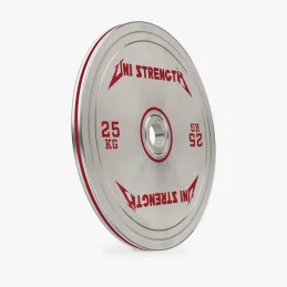 UF disque calibré chromé 25 kg, vue en angle