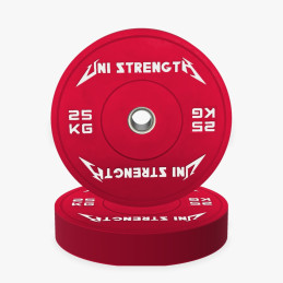 Bumper plate colour 25 kg, angled view