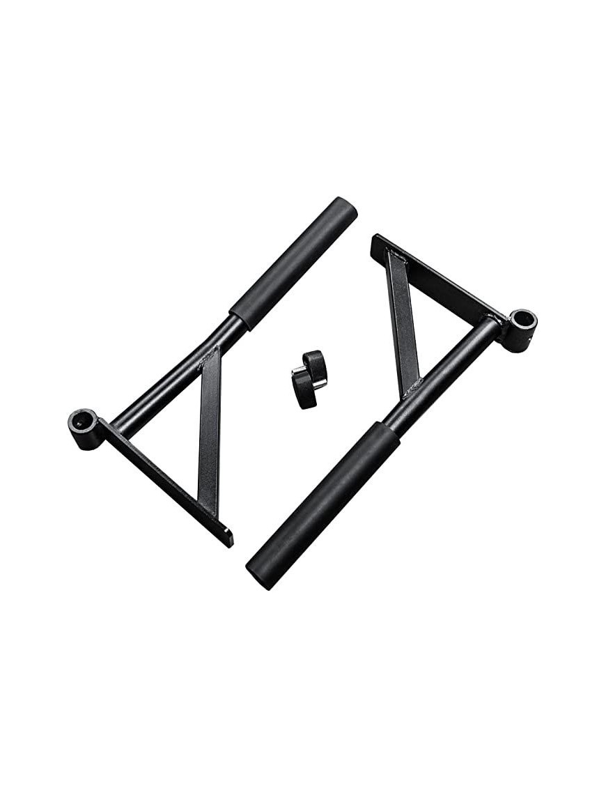 CS-Basic Dips : per Power Rack