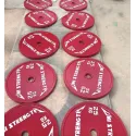 Set de Discos Calibrados UF de 359 kg - vista 2