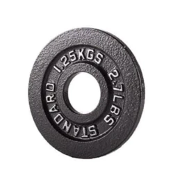 Set disques olympiques en fonte 267,5 kg