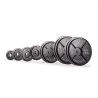 Set disques olympiques en fonte 147,5 kg