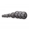 Set disques olympiques en fonte 187,5 kg