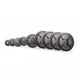 Set olympischer Gusseisenscheiben 227,5 kg