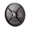 Olympic Cast Iron Discs - Bodybuilding Weights 20 kg, 10 kg and More - view 2