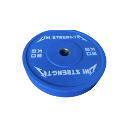 Bumper plate colour 25 kg, angled view