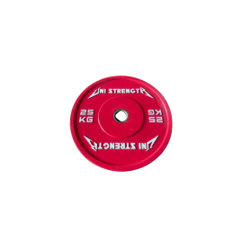 Bumper plate colour 25 kg, angled view