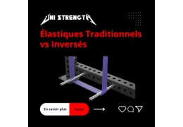 Élastiques Traditionnels vs Inversés